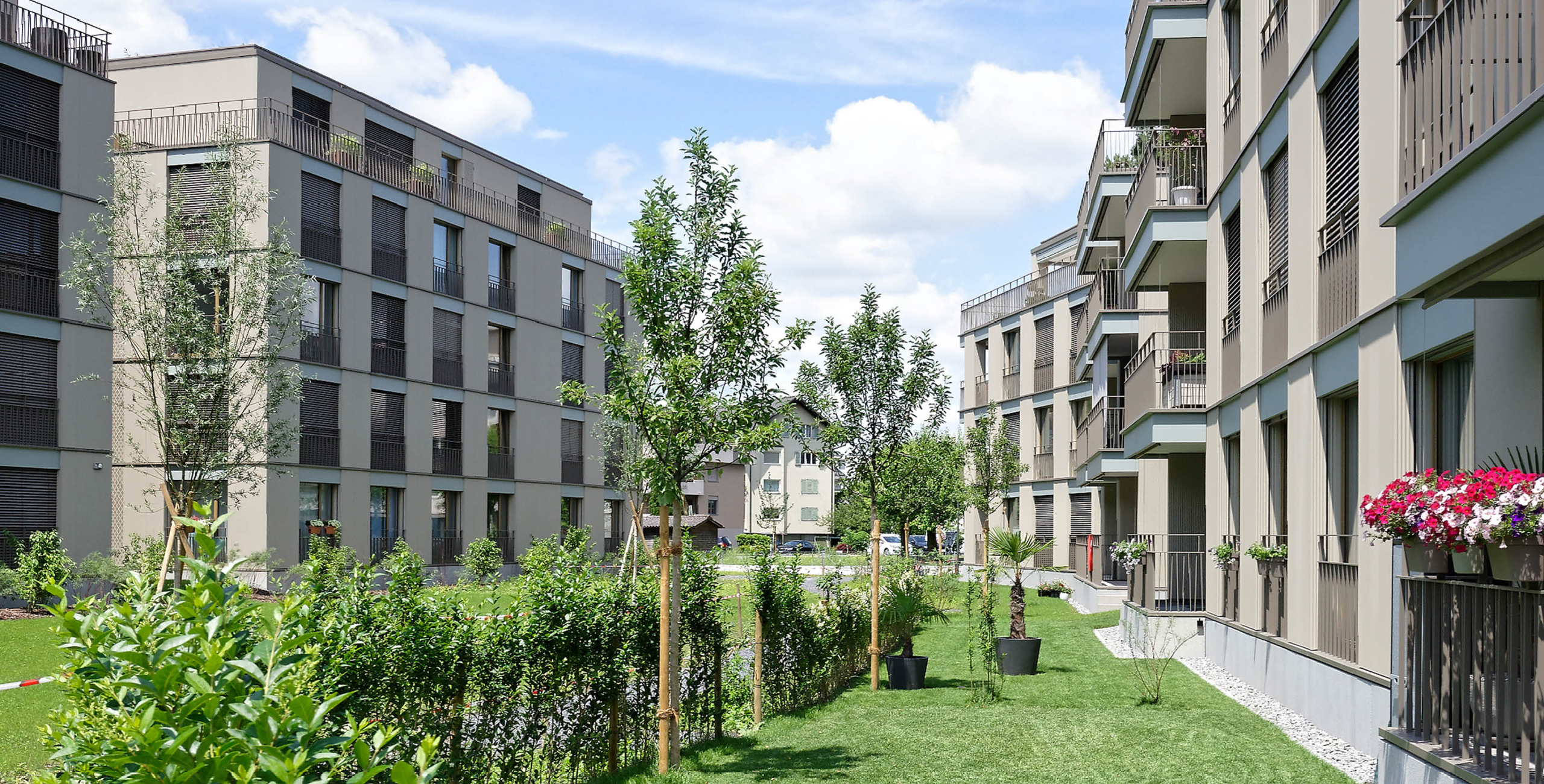 Rinderknecht-Werkschau-Schuermatt-Stansstad-01